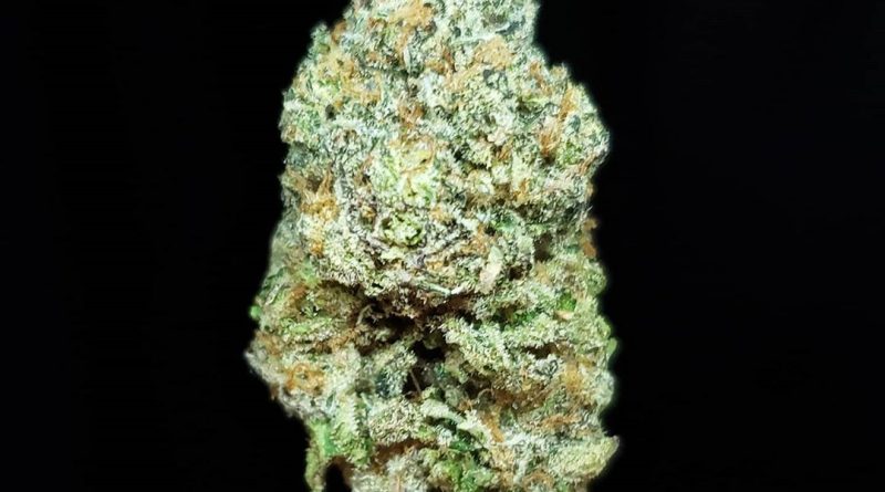 sherbacio by alien labs strain review by thefirescale 2