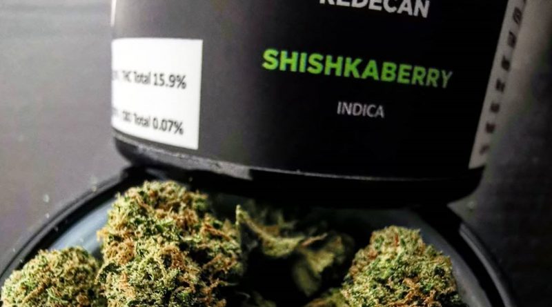 shiskaberry by redecan strain review by cannasteph
