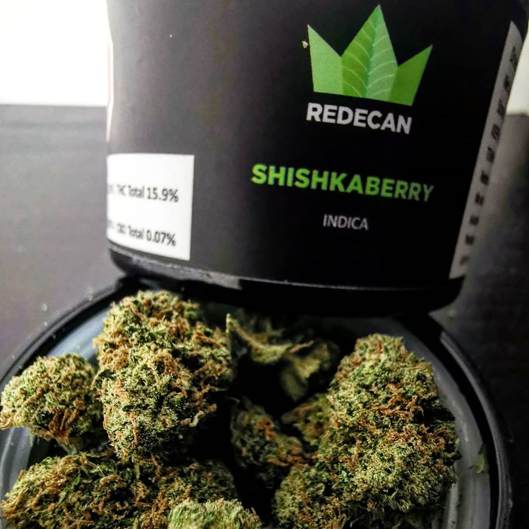Strain Review: Shiskaberry by Redecan - The Highest Critic