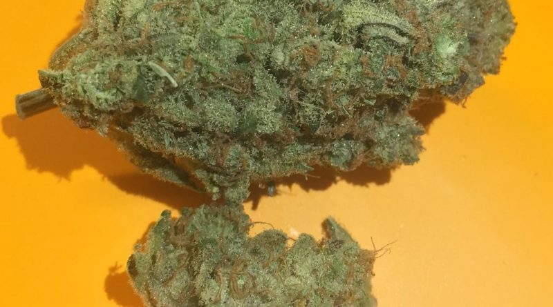 skunk superhero by ascend strain review by fullspectrumconnoisseur