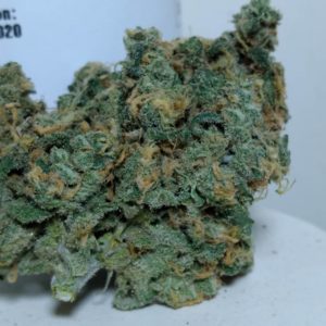 snoop's dream by high winds farm strain review by pdxstoneman
