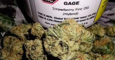 strawberry fire og by gage cannabis canada strain review by cannasteph