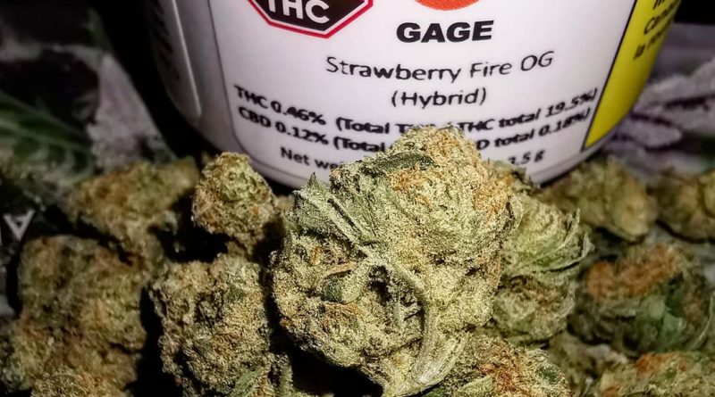 strawberry fire og by gage cannabis canada strain review by cannasteph