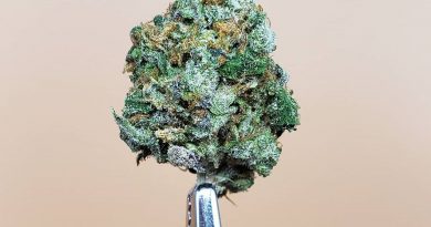 sunset mac by l.a. made strain review by thefirescale 3