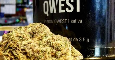 vision qwest by qwest strain review by cannasteph