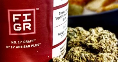 wappa no. 17 craft by figr strain review by cannasteph