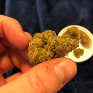 whip it by song wellness strain review by greenbuckeyereviews 2