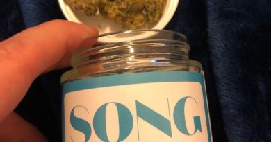 whip it by song wellness strain review by greenbuckeyereviews