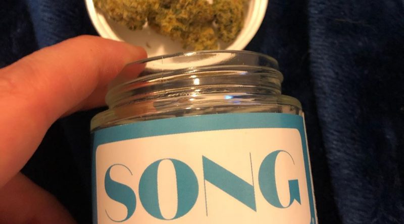 whip it by song wellness strain review by greenbuckeyereviews