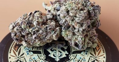 whoa-si-whoa by top shelf cultivation strain review by thefirescale 3