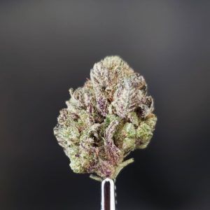 whoa-si-whoa by top shelf cultivation strain review by thefirescale