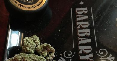 whoa si whoa from barbary coast strain review by fullspectrumconnoisseur