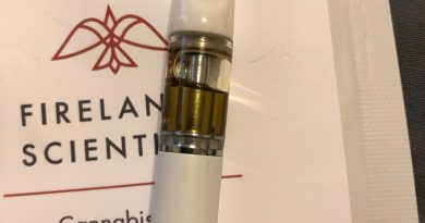 wonka bars rechargeable vape pen by firelands scientific vape review by greenbuckeyereviews