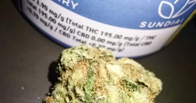 zen berry by sundial cannabis strain review by cannasteph