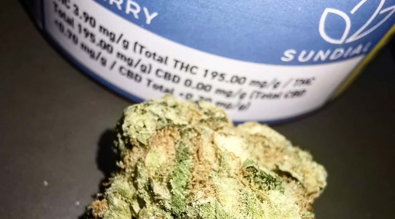 zen berry by sundial cannabis strain review by cannasteph