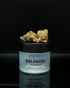 apple crisp by balanced los angeles strain review by thefirescale 2