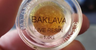 baklava live resin by field extracts concentrate review by cannasaurus_rex_reviews 2