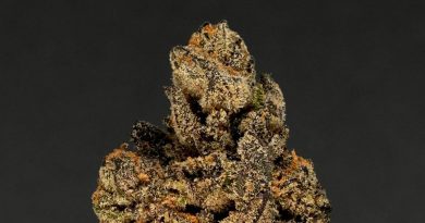 biscotti by tradecraft farms strain review by thefirescale 2