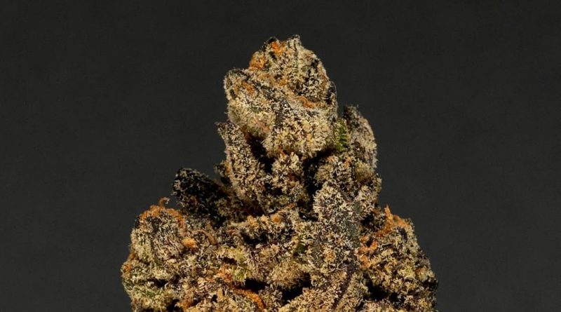 biscotti by tradecraft farms strain review by thefirescale 2