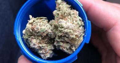 blue cheese by big buddha seeds strain review by shanchyrls