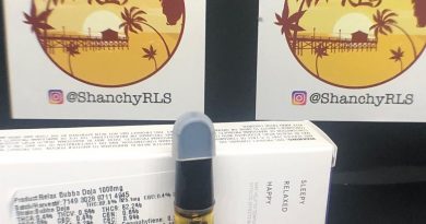 bubba doja cartridge by rythm vape review by shanchyrls