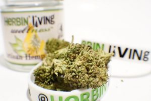 buddha kush by herbin living cbd strain review by shanchyrls