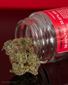 cherry fritter by fresh baked strain review by thefirescale 3