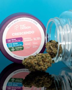 crescendo by thc design strain review by thefirescale