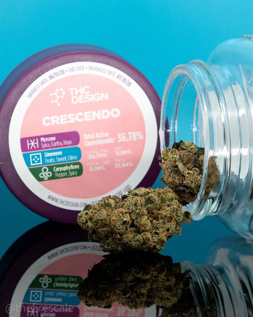 Strain Review: Crescendo By THC Design - The Highest Critic