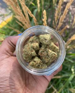 garlic grove by compound genetics strain review by upinsmokesession 2