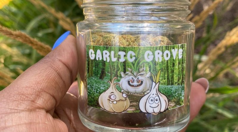 garlic grove by compound genetics strain review by upinsmokesession