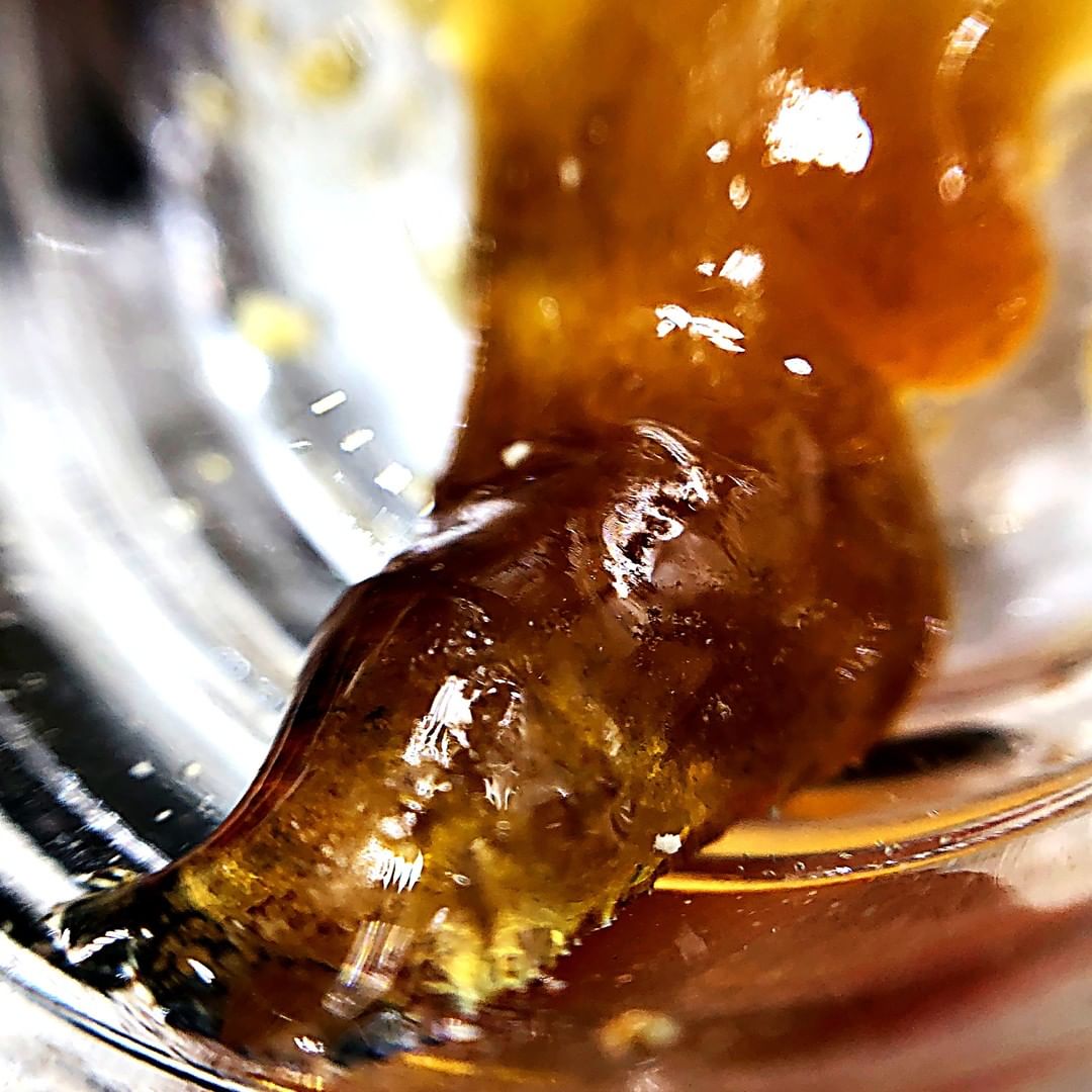 Concentrate Review: Gilz Nilz Wax from Trulieve - The Highest Critic