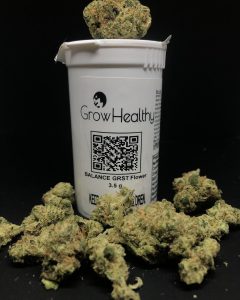 grape stomper from growhealthy strain review by shanchyrls