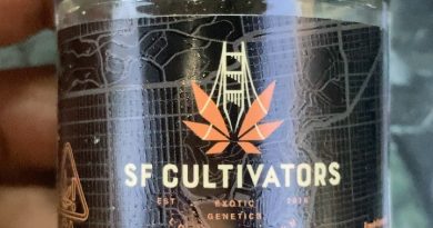 ice cream cake by sf cultivators strain review by sjweedreview