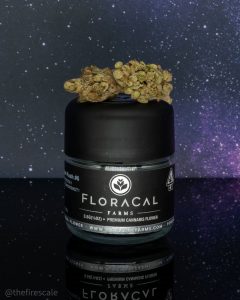 lemon meringue kush by floracal farms strain review by thefirescale 2