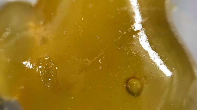 lemon tree shatter from trulieve concentrate review by shanchyrls