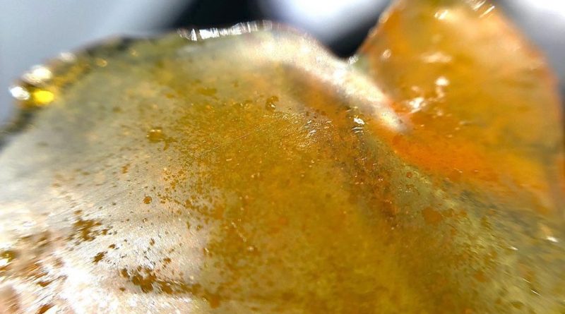 oregon lemons shatter from trulieve concentrate review by shanchyrls