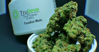 paradise waits by truflower strain review by shanchyrls