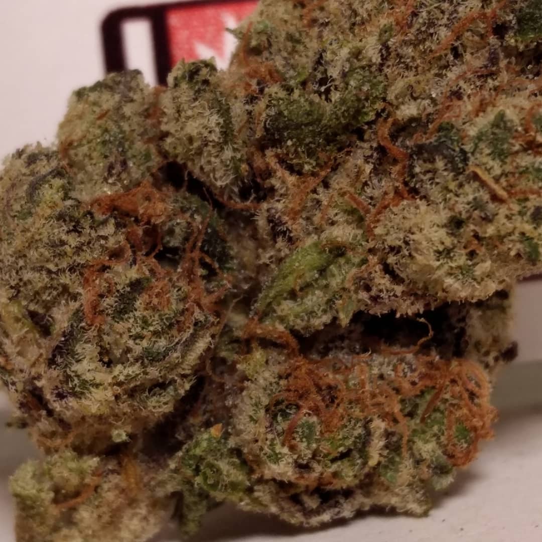 Some peanut butter breath from GLeaf: MDEnts