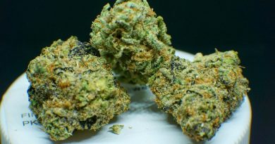 sherbert from trulieve strain review by shanchyrls