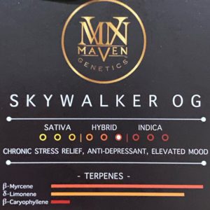 skywalker og by maven genetics strain review by trunorcal420 3
