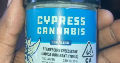 strawberry cheesecake by cypress cannabis strain review by sjweedreview