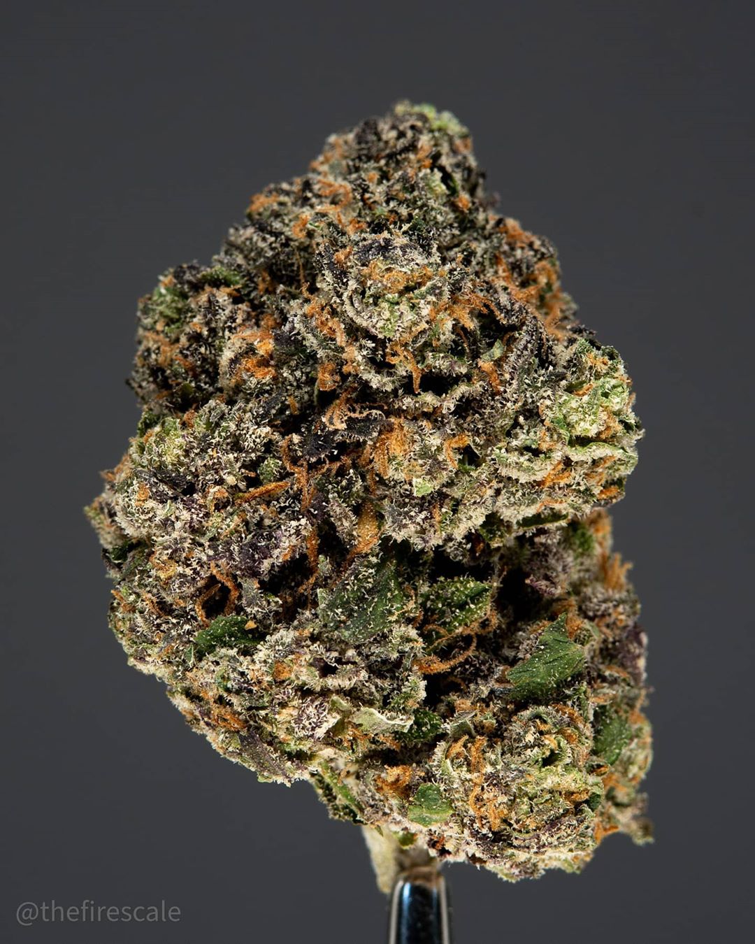 Strain Review: Strawberry Gelato by Backpack Boyz - The Highest Critic