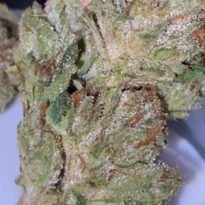 true og by monterey kush co strain review by trunorcal420 3