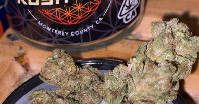 true og by monterey kush co strain review by trunorcal420