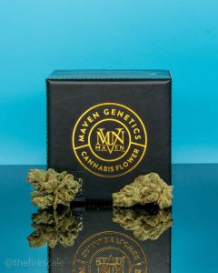 xxx og by maven genetics strain review by thefirescale