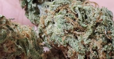 alien og by the cali connection strain review by _scarletts_strains_ 2