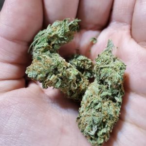 alien og by the cali connection strain review by _scarletts_strains_