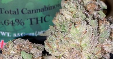 animal mints bx1 by sweetwater pharms strain review by trunorcal420 3