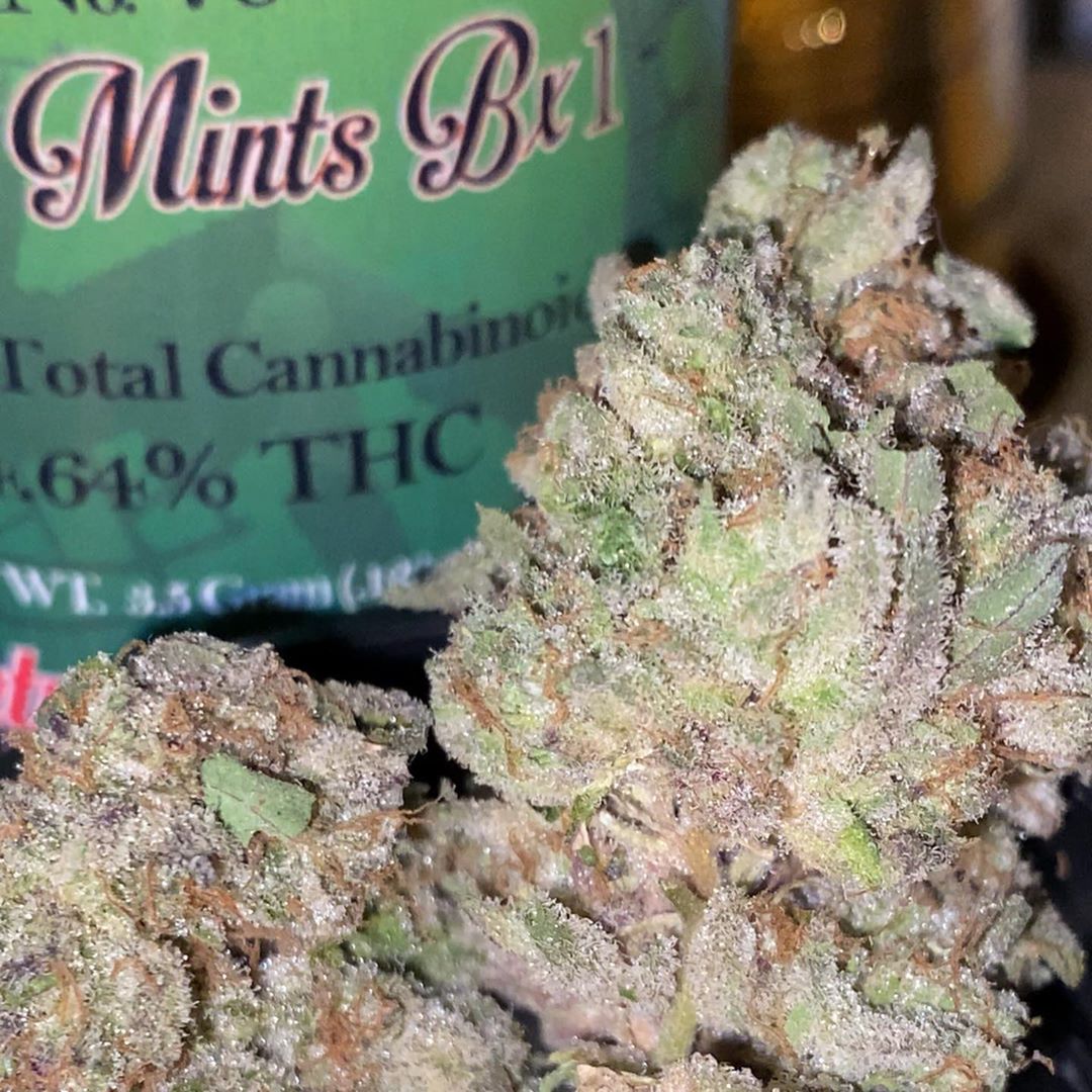 Animal Mints (Hybrid Strain) - Cloud9 Cannabis